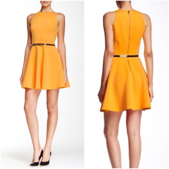 Ted Baker London Dresses & Skirts - Ted baker preeny skater dress US 8 Ted Baker 3